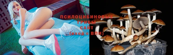 спайс Приозерск