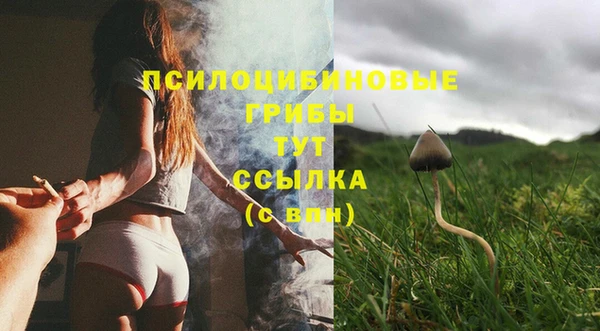 экстази Сафоново